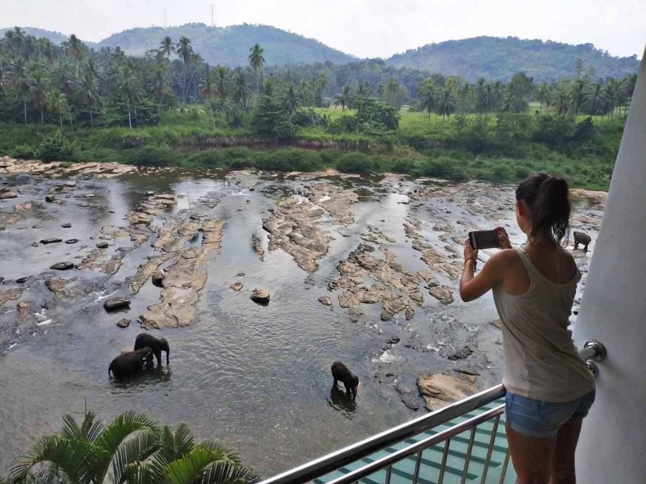 โรงแรมอีเลเฟนท์พาร์ค พินนาวาลา ภายนอก รูปภาพ